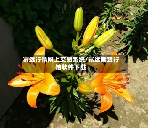富远行情网上交易系统/富远期货行情软件下载-第2张图片