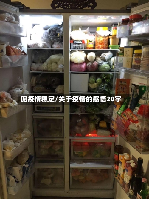 愿疫情稳定/关于疫情的感悟20字-第2张图片