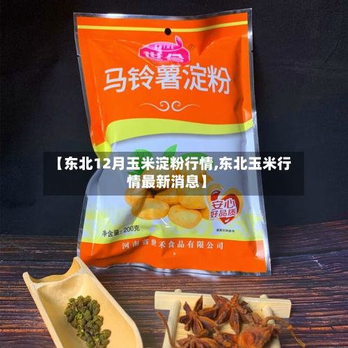 【东北12月玉米淀粉行情,东北玉米行情最新消息】